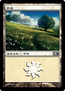 naokuroshop MTG [M11][231][土地][C][JP][平地/Plains] NM