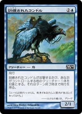 naokuroshop MTG [M14][076][青][C][JP][訓練されたコンドル/Trained Condor] NM