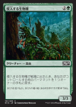 naokuroshop MTG [M15][181][緑][C][JP][侵入する生物種/Invasive Species] NM