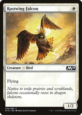 naokuroshop MTG [M19][036][白][C][EN][錆色翼の隼/Rustwing Falcon] NM