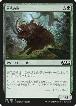 naokuroshop MTG [M19][170][緑][C][JP][逆毛の猪/Bristling Boar] NM