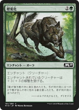 naokuroshop MTG [M19][191][緑][C][JP][樫変化/Oakenform] NM