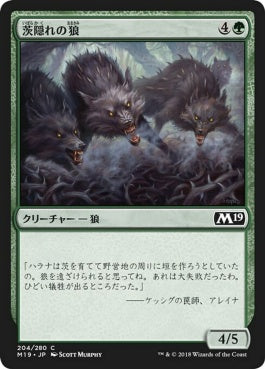 naokuroshop MTG [M19][204][緑][C][JP][茨隠れの狼/Thornhide Wolves] NM