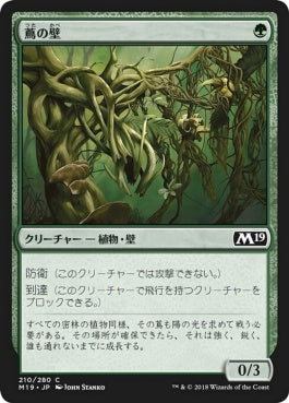 naokuroshop MTG [M19][210][緑][C][JP][蔦の壁/Wall of Vines] NM