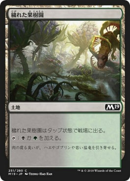 naokuroshop MTG [M19][251][土地][C][JP][穢れた果樹園/Foul Orchard] NM