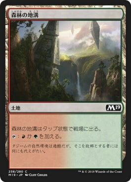 naokuroshop MTG [M19][258][土地][C][JP][森林の地溝/Timber Gorge] NM