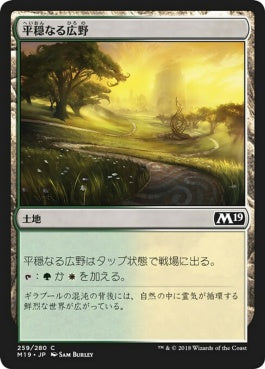 naokuroshop MTG [M19][259][土地][C][JP][平穏なる広野/Tranquil Expanse] NM