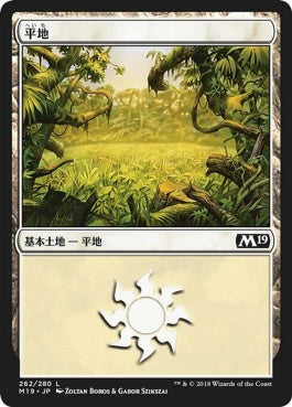 naokuroshop MTG [M19][262][土地][C][JP][平地/Plains] NM