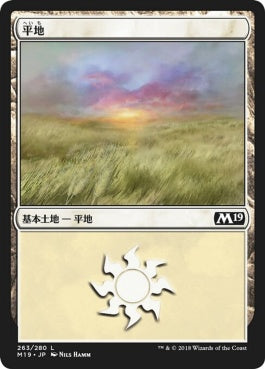 naokuroshop MTG [M19][263][土地][C][JP][平地/Plains] NM