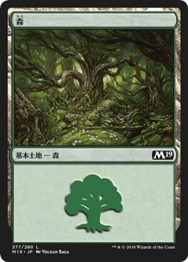 naokuroshop MTG [M19][277][土地][C][JP][森/Forest] NM