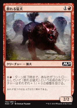 naokuroshop MTG [M20][152][赤][C][JP][群れる猛犬/Pack Mastiff] NM