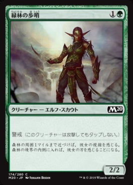 naokuroshop MTG [M20][174][緑][C][JP][緑林の歩哨/Greenwood Sentinel] NM