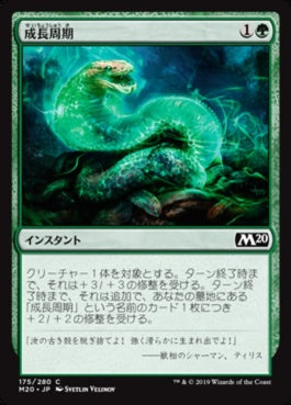 naokuroshop MTG [M20][175][緑][C][JP][成長周期/Growth Cycle] NM