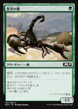 naokuroshop MTG [M20][192][緑][C][JP][菅草の蠍/Sedge Scorpion] NM