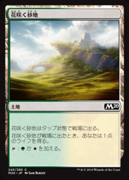 naokuroshop MTG [M20][243][土地][C][JP][花咲く砂地/Blossoming Sands] NM