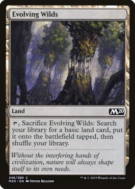 naokuroshop MTG [M20][246][土地][C][EN][進化する未開地/Evolving Wilds] NM