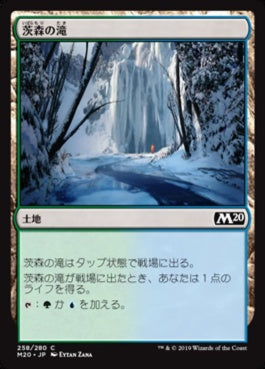 naokuroshop MTG [M20][258][土地][C][JP][茨森の滝/Thornwood Falls] NM