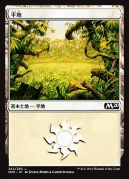 naokuroshop MTG [M20][262][土地][C][JP][平地/Plains] NM