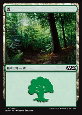 naokuroshop MTG [M20][278][土地][C][JP][森/Forest] NM