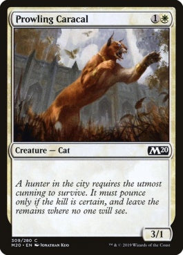 naokuroshop MTG [M20][309][白][C][EN][うろつくカラカル/Prowling Caracal] NM