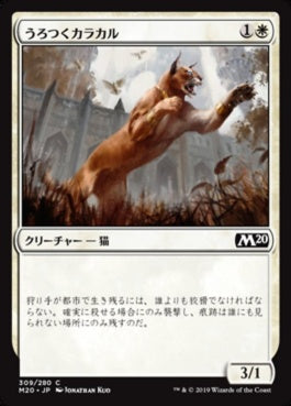 naokuroshop MTG [M20][309][白][C][JP][うろつくカラカル/Prowling Caracal] NM