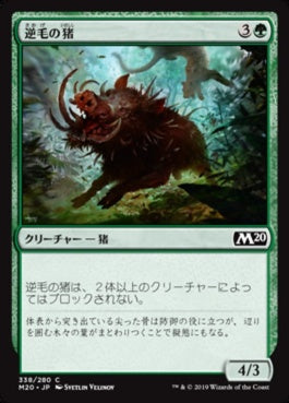 naokuroshop MTG [M20][338][緑][C][JP][逆毛の猪/Bristling Boar] NM