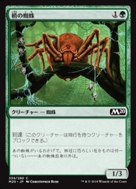 naokuroshop MTG [M20][339][緑][C][JP][梢の蜘蛛/Canopy Spider] NM