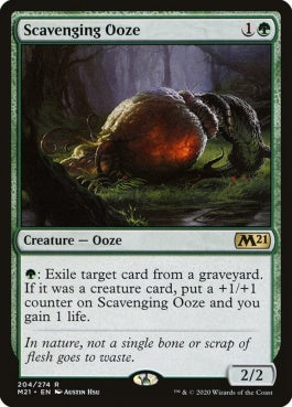 naokuroshop MTG [M21][204][緑][R][EN][漁る軟泥/Scavenging Ooze] NM