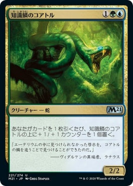 naokuroshop MTG [M21][221][多][U][JP][知識鱗のコアトル/Lorescale Coatl] NM