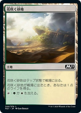 naokuroshop MTG [M21][244][土地][C][JP][花咲く砂地/Blossoming Sands] NM