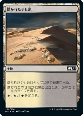 naokuroshop MTG [M21][250][土地][C][JP][磨かれたやせ地/Scoured Barrens] NM