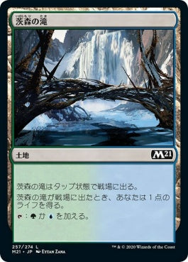 naokuroshop MTG [M21][257][土地][C][JP][茨森の滝/Thornwood Falls] NM