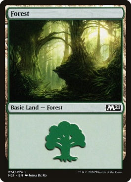 naokuroshop MTG [M21][274][土地][C][EN][森/Forest] NM