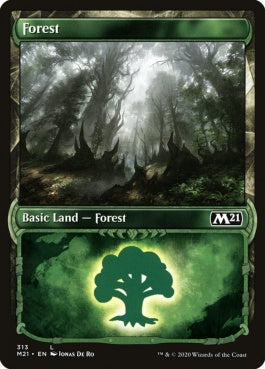 naokuroshop MTG [M21][313][土地][C][EN][森/Forest] NM