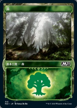 naokuroshop MTG [M21][313][土地][C][JP][森/Forest] NM