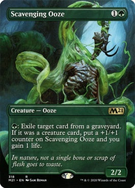 naokuroshop MTG [M21][318][緑][R][EN][漁る軟泥/Scavenging Ooze] NM