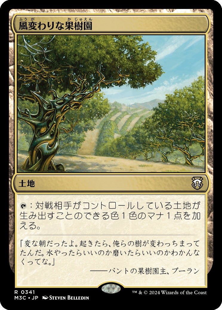 naokuroshop MTG [M3C][0341][土地][R][JP][風変わりな果樹園/Exotic Orchard] NM