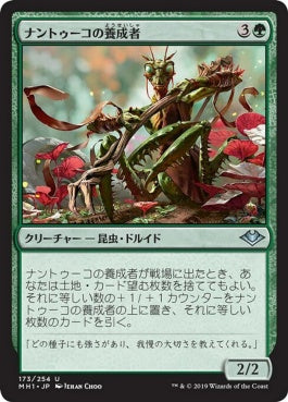 naokuroshop MTG [MH1][173][緑][U][JP][ナントゥーコの養成者/Nantuko Cultivator] NM