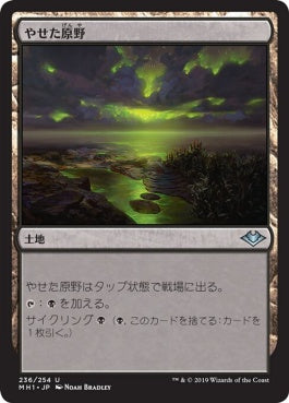 naokuroshop MTG [MH1][236][土地][U][JP][やせた原野/Barren Moor] NM