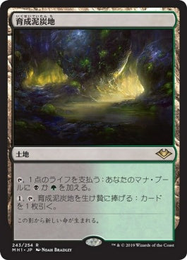 naokuroshop MTG [MH1][243][土地][R][JP][育成泥炭地/Nurturing Peatland] NM