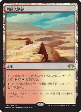 naokuroshop MTG [MH1][247][土地][R][JP][灼陽大峡谷/Sunbaked Canyon] NM