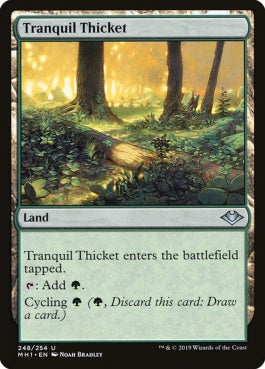 naokuroshop MTG [MH1][248][土地][U][EN][平穏な茂み/Tranquil Thicket] NM