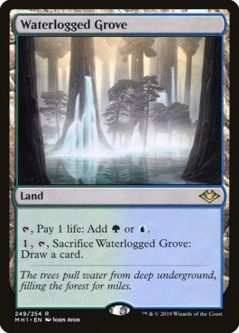 naokuroshop MTG [MH1][249][土地][R][EN][冠水樹林帯/Waterlogged Grove] NM