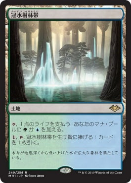 naokuroshop MTG [MH1][249][土地][R][JP][冠水樹林帯/Waterlogged Grove] NM