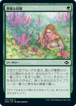 naokuroshop MTG [MH2][147][緑][C][JP][豊穣な収穫/Abundant Harvest]（foil） NM