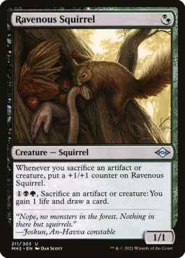 naokuroshop MTG [MH2][211][多][U][EN][貪欲なるリス/Ravenous Squirrel] NM