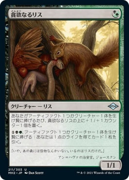 naokuroshop MTG [MH2][211][多][U][JP][貪欲なるリス/Ravenous Squirrel]（foil） NM