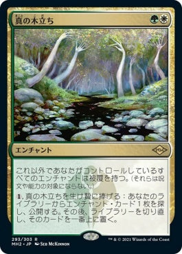 naokuroshop MTG [MH2][293][多][R][JP][真の木立ち/Sterling Grove] NM