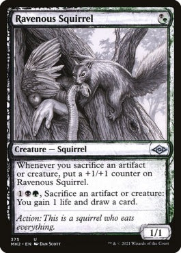 naokuroshop MTG [MH2][375][多][U][EN][貪欲なるリス/Ravenous Squirrel] NM