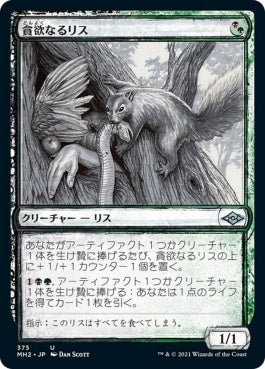 naokuroshop MTG [MH2][375][多][U][JP][貪欲なるリス/Ravenous Squirrel]（foil） NM